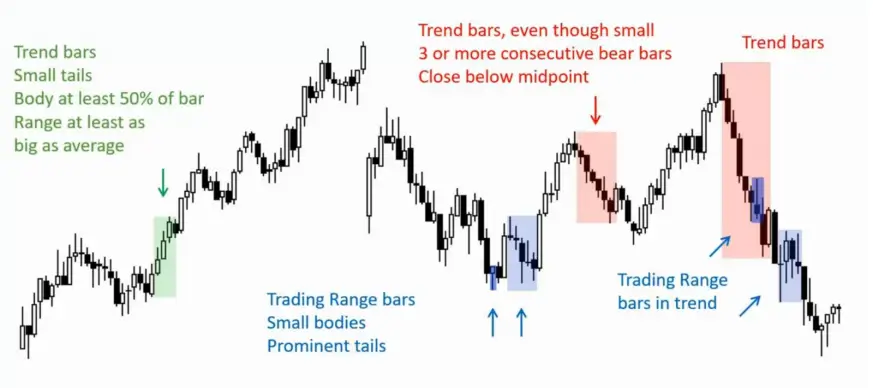 کندل شناسی ال بروکس به زبان فارسی